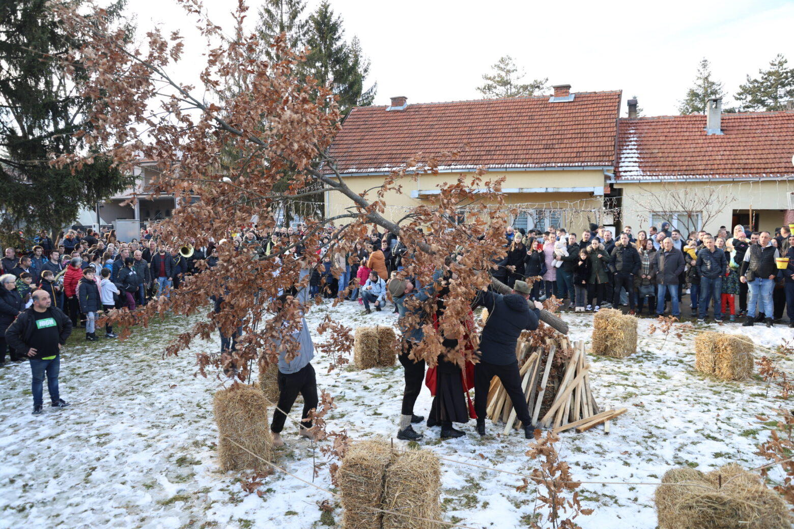 Badnji dan, nalaganje badnjaka, foto: K.A.